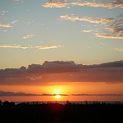 Picture 096